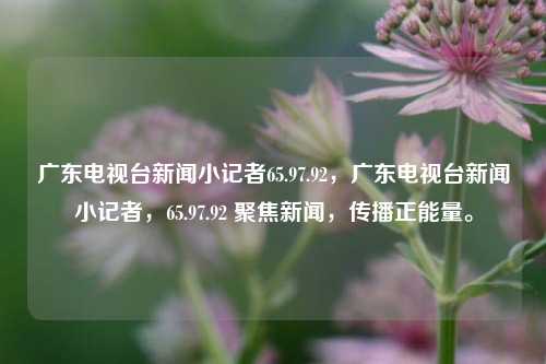 广东电视台新闻小记者65.97.92，广东电视台新闻小记者，65.97.92 聚焦新闻，传播正能量。