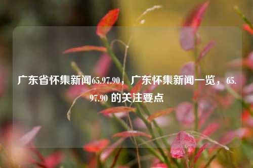 广东省怀集新闻65.97.90，广东怀集新闻一览，65.97.90 的关注要点