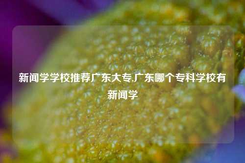 新闻学学校推荐广东大专,广东哪个专科学校有新闻学