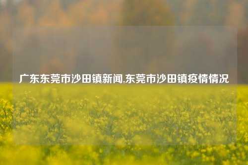 广东东莞市沙田镇新闻,东莞市沙田镇疫情情况