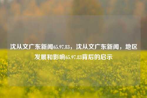 沈从文广东新闻65.97.83，沈从文广东新闻，地区发展和影响65.97.83背后的启示