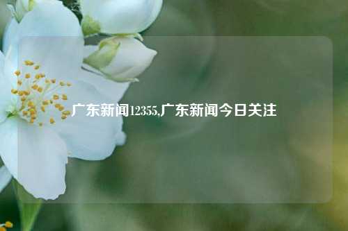 广东新闻12355,广东新闻今日关注