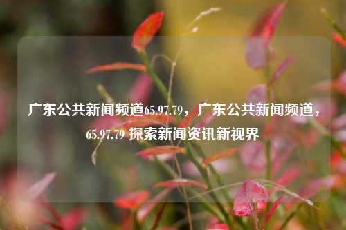 广东公共新闻频道65.97.79，广东公共新闻频道，65.97.79 探索新闻资讯新视界