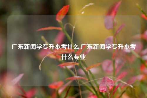 广东新闻学专升本考什么,广东新闻学专升本考什么专业