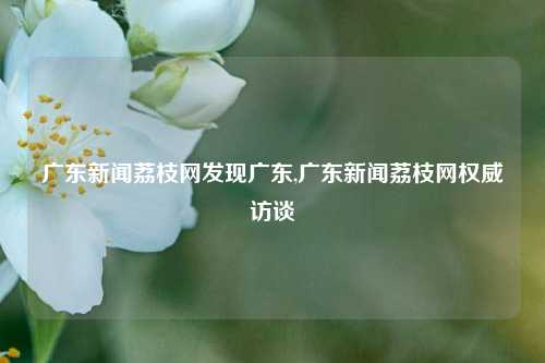 广东新闻荔枝网发现广东,广东新闻荔枝网权威访谈