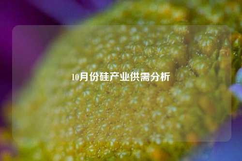 10月份硅产业供需分析