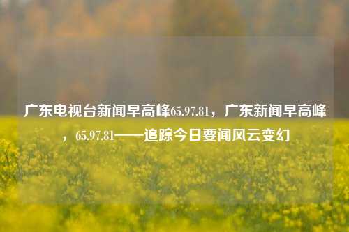 广东电视台新闻早高峰65.97.81，广东新闻早高峰，65.97.81——追踪今日要闻风云变幻