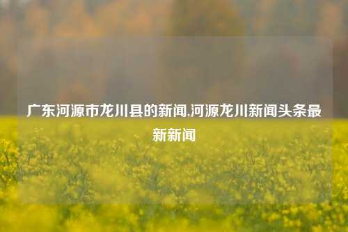 广东河源市龙川县的新闻,河源龙川新闻头条最新新闻