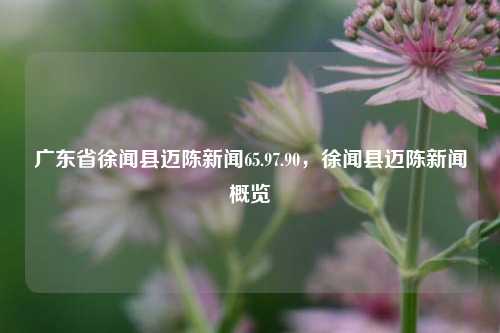 广东省徐闻县迈陈新闻65.97.90，徐闻县迈陈新闻概览