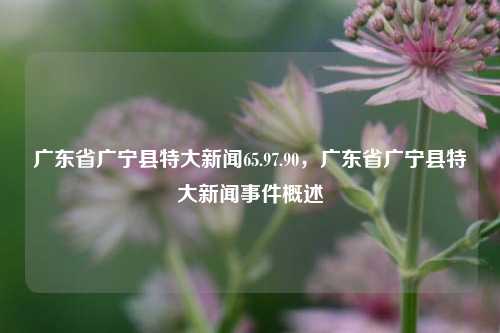 广东省广宁县特大新闻65.97.90，广东省广宁县特大新闻事件概述