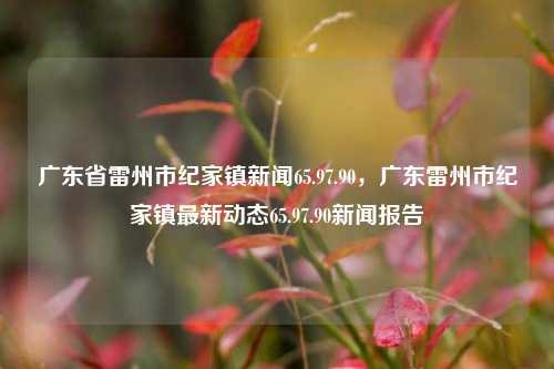 广东省雷州市纪家镇新闻65.97.90，广东雷州市纪家镇最新动态65.97.90新闻报告