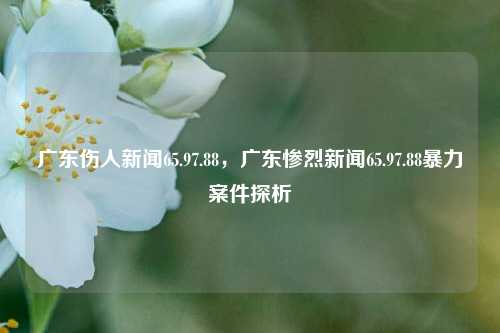 广东伤人新闻65.97.88，广东惨烈新闻65.97.88暴力案件探析