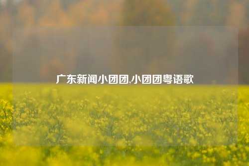 广东新闻小团团,小团团粤语歌