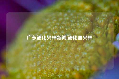 广东通化兴林新闻,通化县兴林