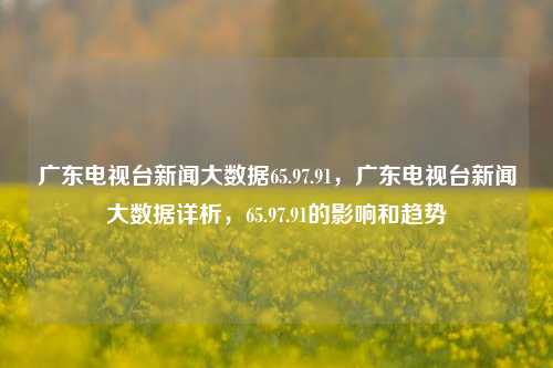 广东电视台新闻大数据65.97.91，广东电视台新闻大数据详析，65.97.91的影响和趋势