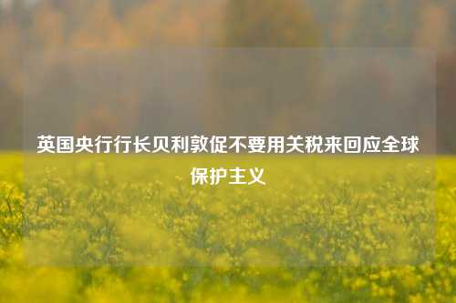 英国央行行长贝利敦促不要用关税来回应全球保护主义