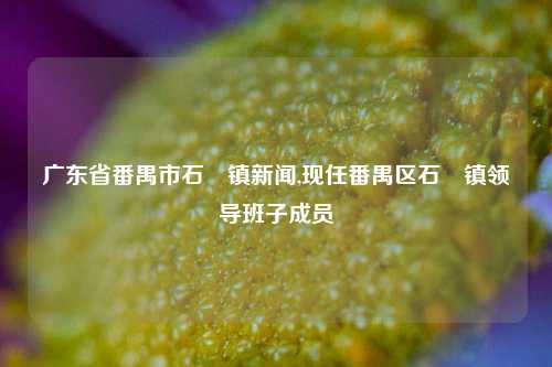 广东省番禺市石碁镇新闻,现任番禺区石碁镇领导班子成员