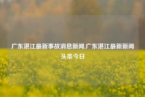 广东湛江最新事故消息新闻,广东湛江最新新闻头条今日