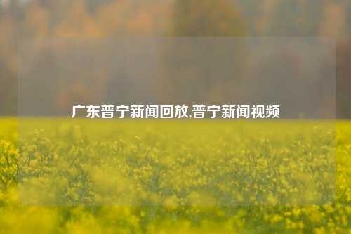 广东普宁新闻回放,普宁新闻视频