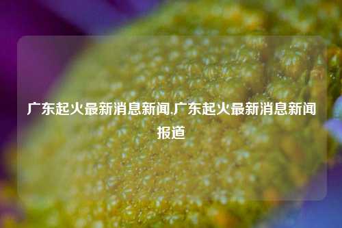 广东起火最新消息新闻,广东起火最新消息新闻报道