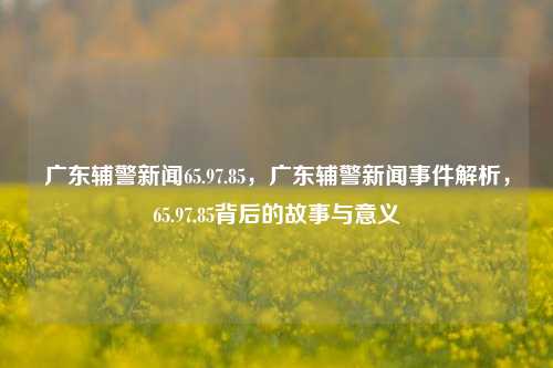 广东辅警新闻65.97.85，广东辅警新闻事件解析，65.97.85背后的故事与意义