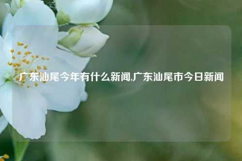 广东汕尾今年有什么新闻,广东汕尾市今日新闻