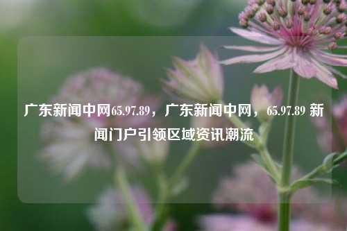 广东新闻中网65.97.89，广东新闻中网，65.97.89 新闻门户引领区域资讯潮流