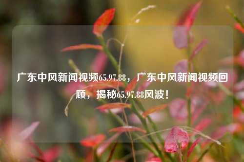 广东中风新闻视频65.97.88，广东中风新闻视频回顾，揭秘65.97.88风波！