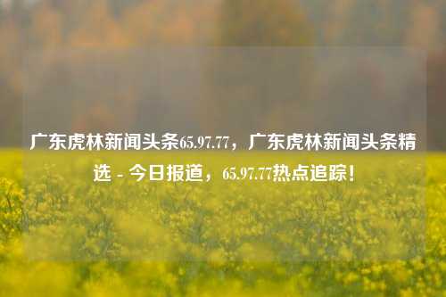 广东虎林新闻头条65.97.77，广东虎林新闻头条精选 - 今日报道，65.97.77热点追踪！