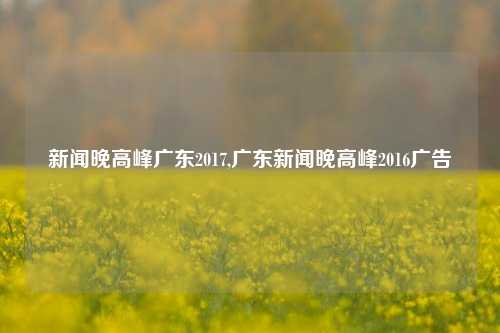 新闻晚高峰广东2017,广东新闻晚高峰2016广告