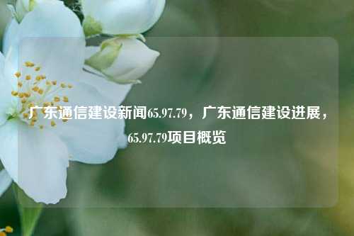 广东通信建设新闻65.97.79，广东通信建设进展，65.97.79项目概览