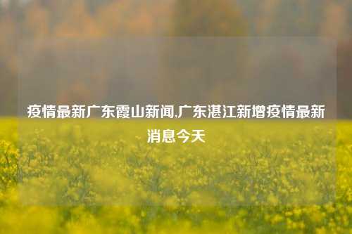 疫情最新广东霞山新闻,广东湛江新增疫情最新消息今天