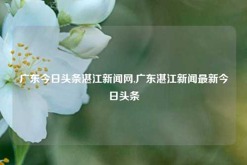 广东今日头条湛江新闻网,广东湛江新闻最新今日头条