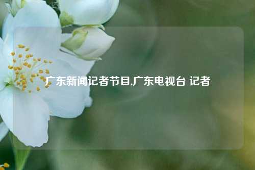 广东新闻记者节目,广东电视台 记者