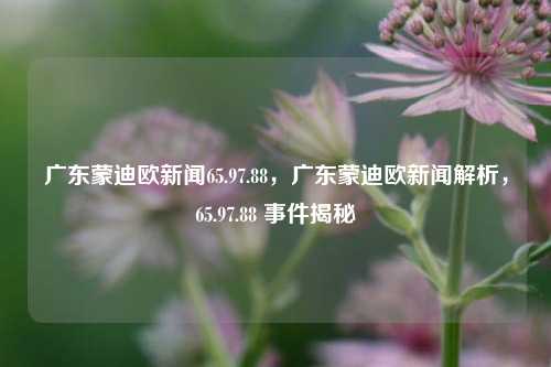 广东蒙迪欧新闻65.97.88，广东蒙迪欧新闻解析，65.97.88 事件揭秘