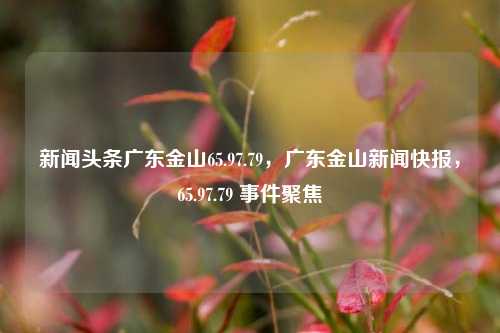 新闻头条广东金山65.97.79，广东金山新闻快报，65.97.79 事件聚焦