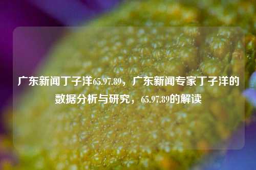 丁子洋新闻焦点，广东新闻专家丁子洋的数据分析与研究