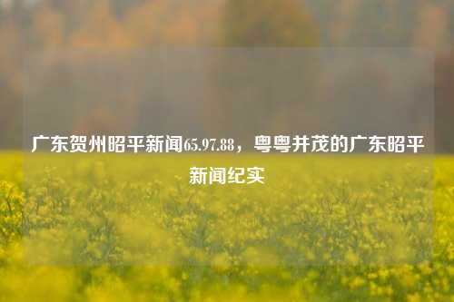 广东贺州昭平新闻65.97.88，粤粤并茂的广东昭平新闻纪实