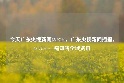 今天广东央视新闻65.97.80，广东央视新闻播报，65.97.80 一键知晓全域资讯