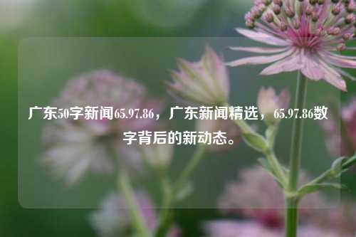 广东50字新闻65.97.86，广东新闻精选，65.97.86数字背后的新动态。