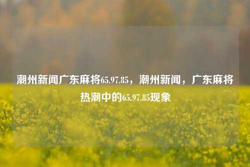 潮州新闻广东麻将65.97.85，潮州新闻，广东麻将热潮中的65.97.85现象