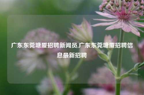 广东东莞塘厦招聘新闻员,广东东莞塘厦招聘信息最新招聘