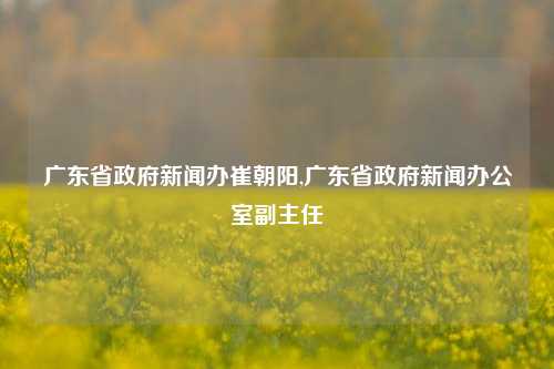 广东省政府新闻办崔朝阳,广东省政府新闻办公室副主任