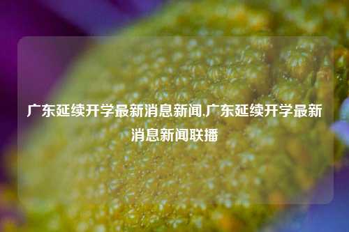 广东延续开学最新消息新闻,广东延续开学最新消息新闻联播