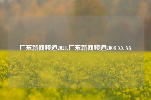 广东新闻频道2021,广东新闻频道2008 XX XX