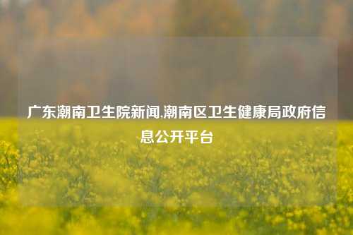 广东潮南卫生院新闻,潮南区卫生健康局政府信息公开平台