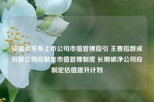 证监会发布上市公司市值管理指引 主要指数成份股公司应制定市值管理制度 长期破净公司应制定估值提升计划