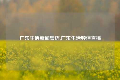 广东生活新闻粤语,广东生活频道直播