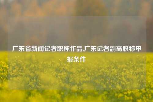 广东省新闻记者职称作品,广东记者副高职称申报条件