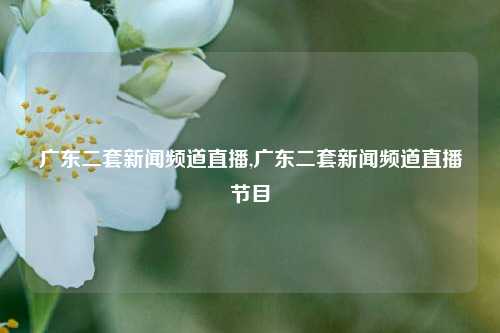 广东二套新闻频道直播,广东二套新闻频道直播节目